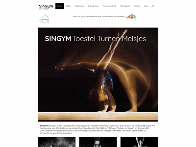 singym.be snapshot