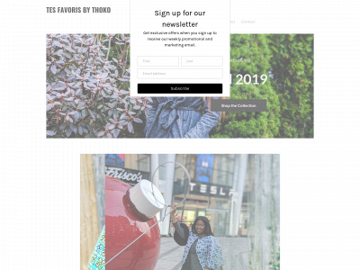 thokocollections.weebly.com snapshot