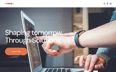 toroconsulting.co.uk snapshot