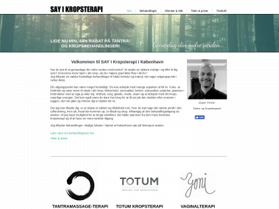 sayi.dk snapshot