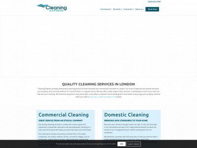 cleaning-express.com snapshot