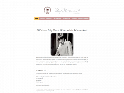 stigernst.se snapshot