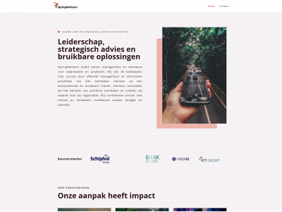 springadvisors.nl snapshot
