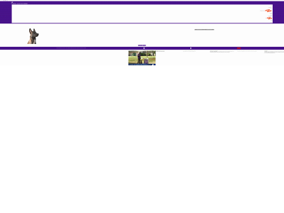k9indigo.com snapshot