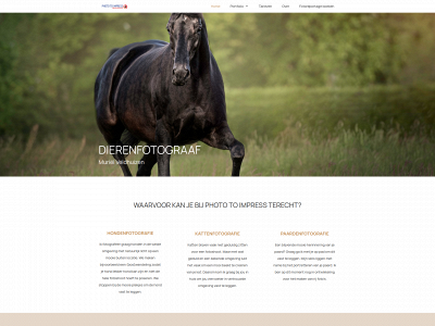 phototoimpress.nl snapshot