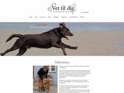 vettildig.dk snapshot