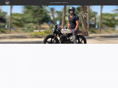 bigdauthentics.com snapshot