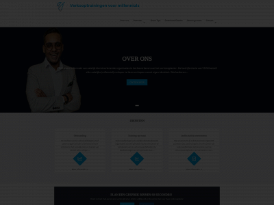 salueconsultancy.nl snapshot