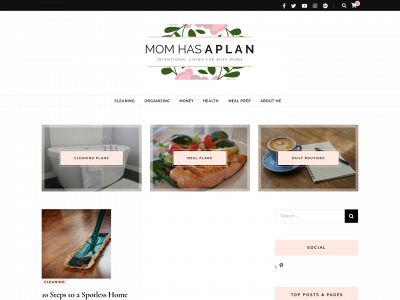 momhasaplan.com snapshot
