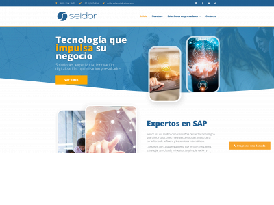 seidorcolombia.co snapshot