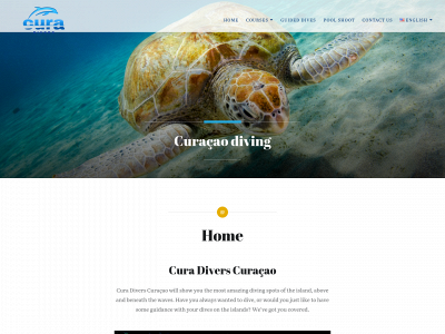 curadivers.com snapshot