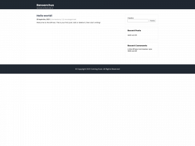 renoarchus.lt snapshot