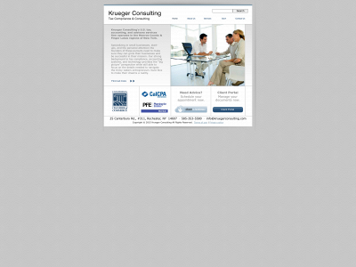 kruegerconsulting.com snapshot