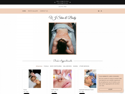 vjskinandbody.com snapshot