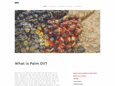 dylanrosspalmoil.weebly.com snapshot