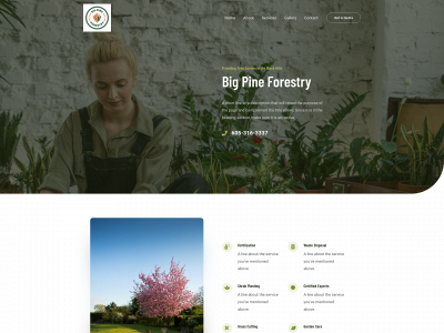 bigpineforestry.com snapshot