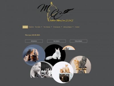milowcoonscats.be snapshot