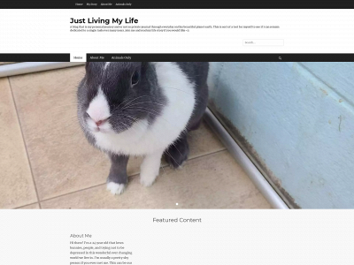 justmylifestory.com snapshot