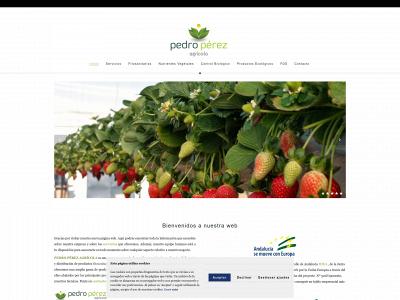 pedroperezagricola.org snapshot