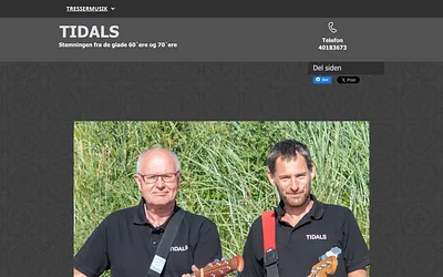 tidal.dk snapshot