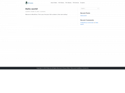 plrjumbo.com snapshot