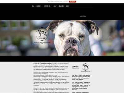 soebk.se snapshot