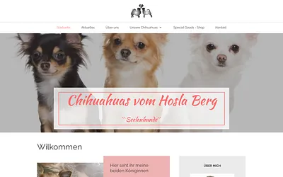 chihuahuasvomhoslaberg.com snapshot