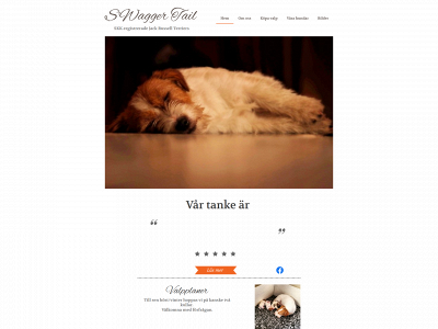 swaggertail.se snapshot