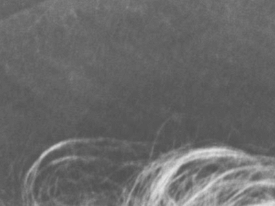danielrocco.net snapshot