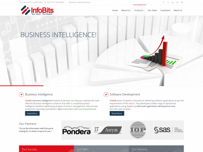 infobits.ae snapshot