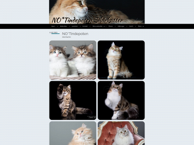 tindepoten.net snapshot