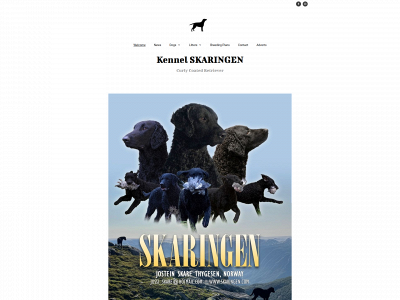 skaringen.com snapshot