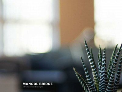 mongolbridge.com snapshot