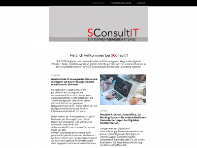 sconsultit.de snapshot