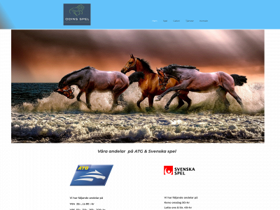 odinsspel.se snapshot