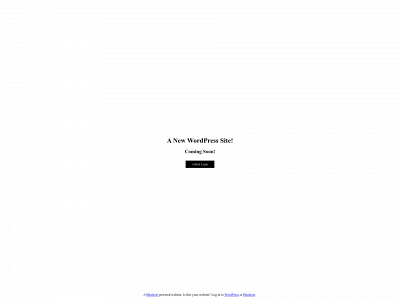 skyviewlogistic.org snapshot