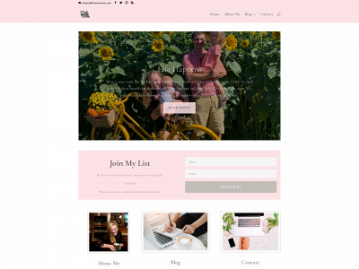 themomtrain.com snapshot