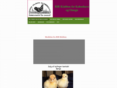 rir-kbh.dk snapshot