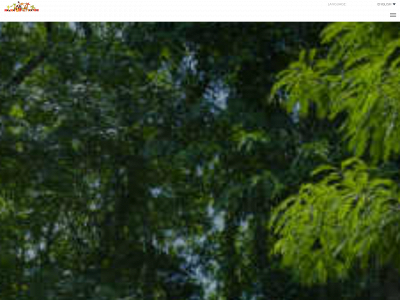 congo-bongo.com snapshot