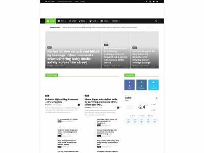 tipspetcare.com snapshot