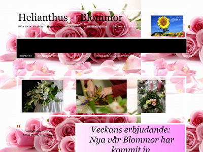 heliantus.se snapshot