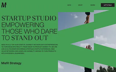 misfitstrategy.co.nz snapshot