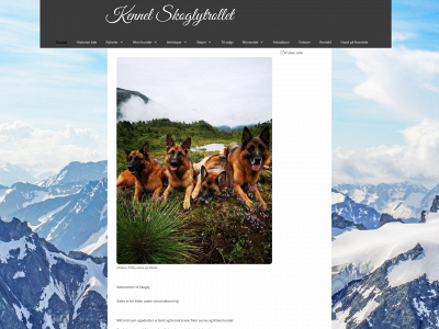 skoglytrollet.com snapshot