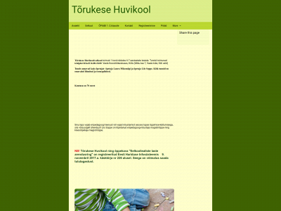 t6rukesehuvikool.com snapshot