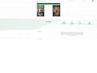 steneatcleaningservices.com snapshot