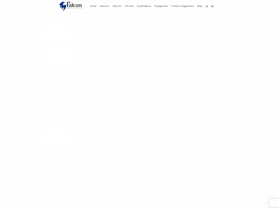 falconinspec.com snapshot