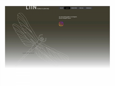 liin.dk snapshot