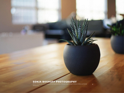 sonjaboshoffphotography.com snapshot