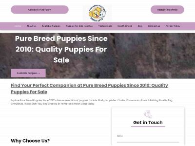 www.purebreedspuppies.com snapshot