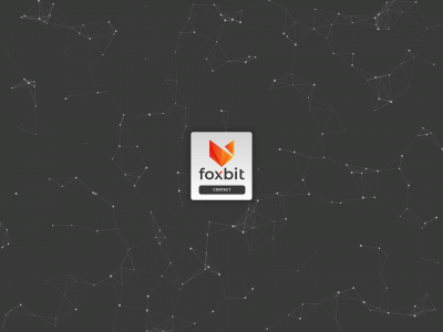 foxbit.nl snapshot